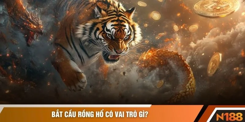 Bắt cầu rồng hổ có vai trò gì?