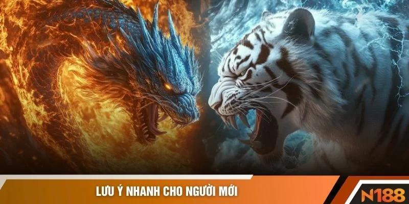 Lưu ý nhanh cho người mới