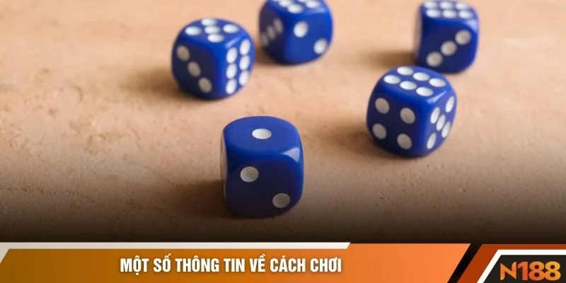 Một số thông tin về cách chơi