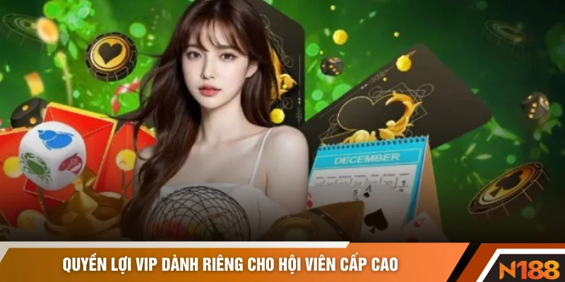 Quyền lợi VIP dành riêng cho hội viên cấp cao