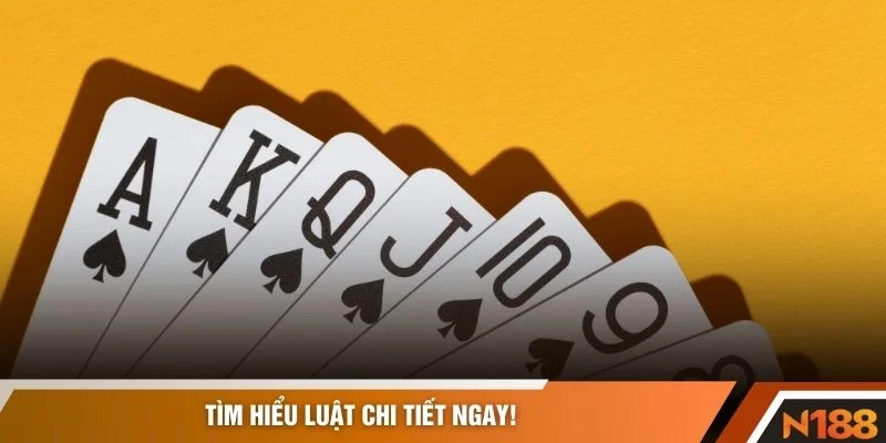 Tìm hiểu luật chi tiết ngay!